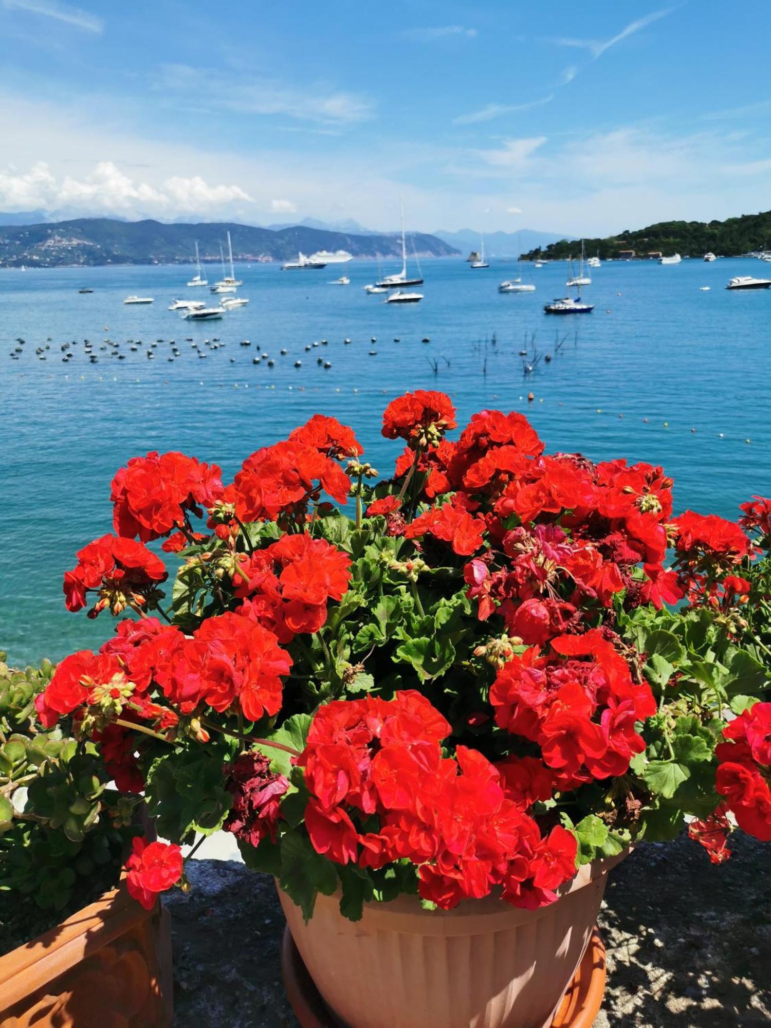 B&B La Palafitta Porto Venere Exterior photo